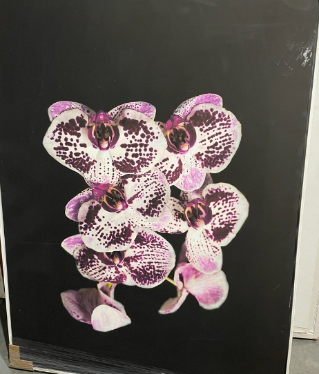 PRINT ON CANVAS WHITE FRAME 1 x 1.4m